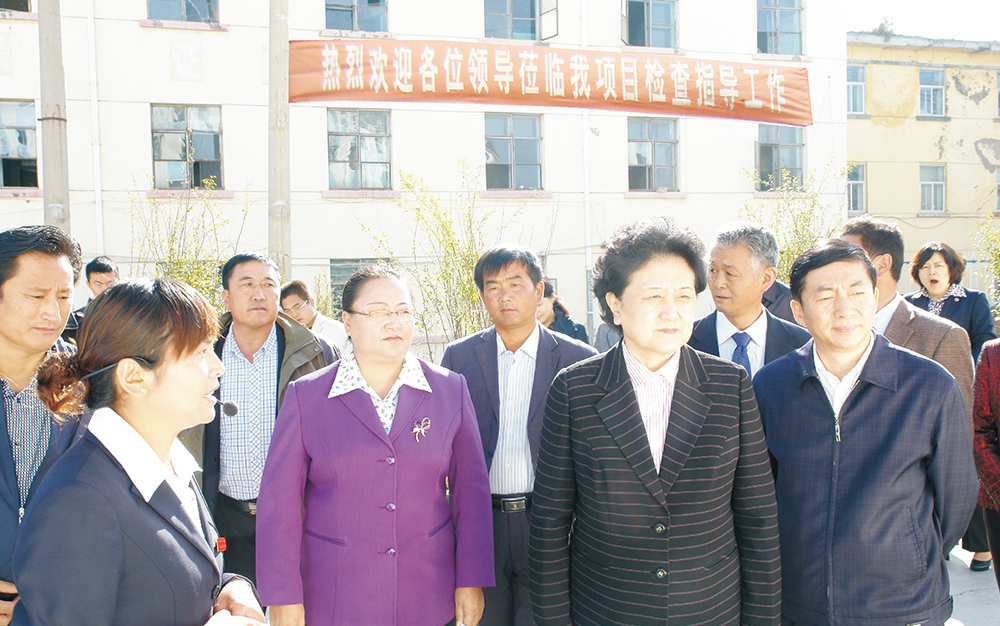 时任中央政治局委员，国务院副总理、党组成员刘延东视察湖北k8凯发一触即发集团青海项目部
