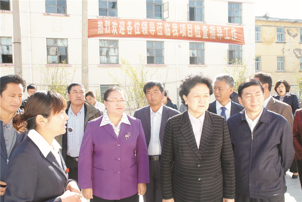 4中央政治局委员，国务院副总理、党组成员刘延东视察湖北k8凯发一触即发集团青海项目部 
